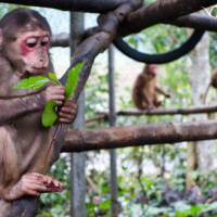 Phong Nha Cave And Botanic Garden Tour F