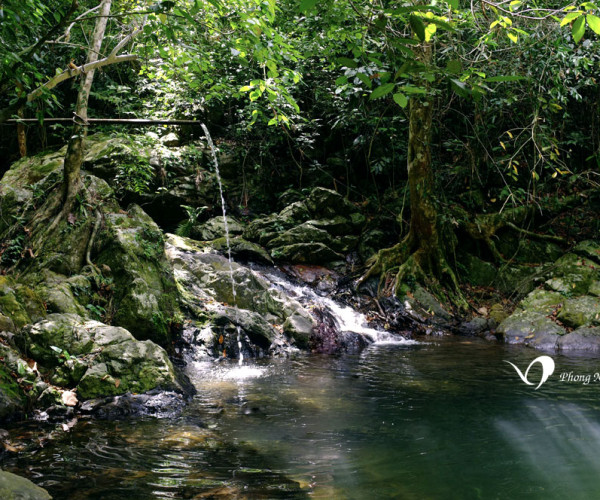 Phong Nha Cave And Botanic Garden Tour D